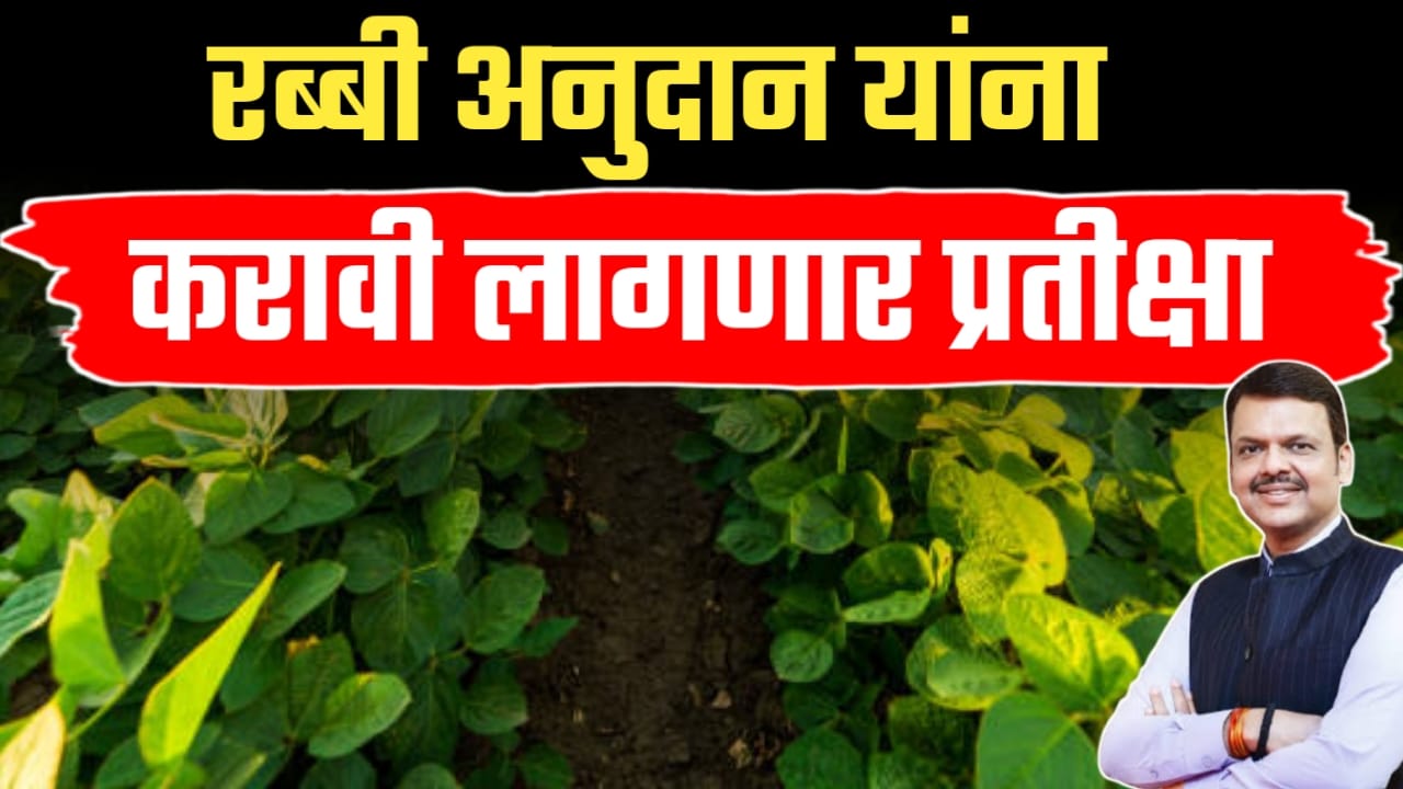 अनुदान वितरण दोन टप्प्यांत