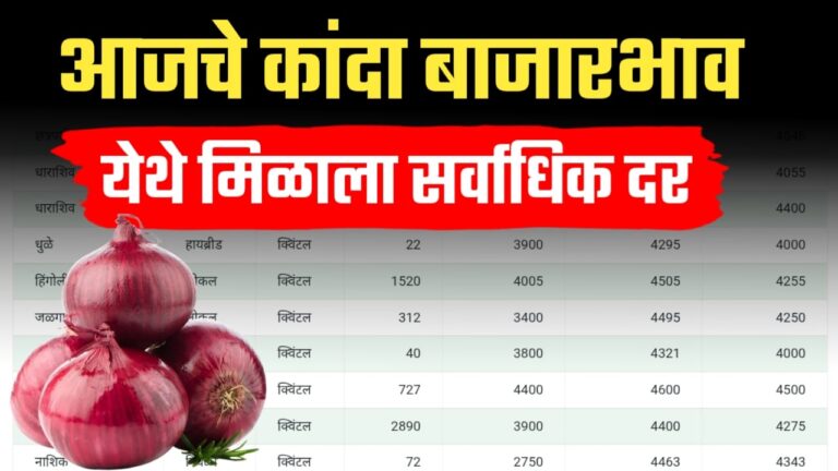 कांद्याचे भाव वाढणार आज कांद्याला काय बाजारभाव मिळाला पहा.