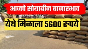 सोयाबीनच्या भावात तुफान वाढ पहा आजचे ताजे सोयाबीन बाजारभाव, येथे मिळाला 5505 रुपये बाजारभाव.