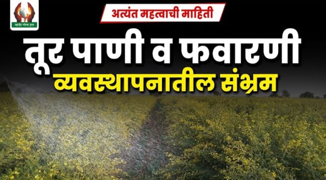 तूर आणि फवारणी व्यवस्थापन